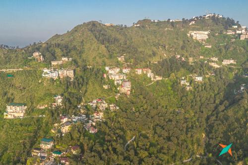 zostel homes mussoorie