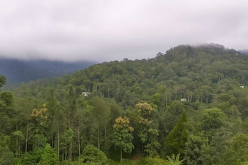 rosa mystica hotels and resorts