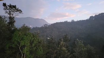 rosa mystica hotels and resorts