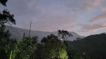 rosa mystica hotels and resorts