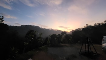 rosa mystica hotels and resorts