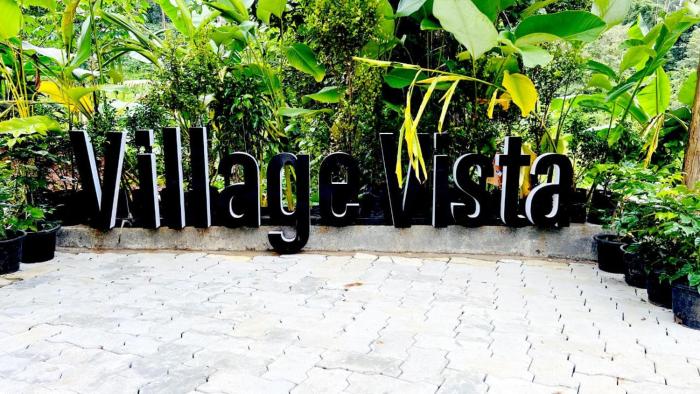 the village vista
