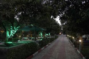 aarambh jungle vista resort gir