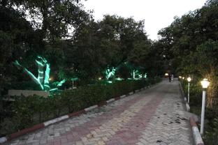 aarambh jungle vista resort gir