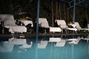 aarambh jungle vista resort gir