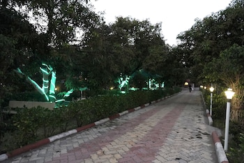 aarambh jungle vista resort gir