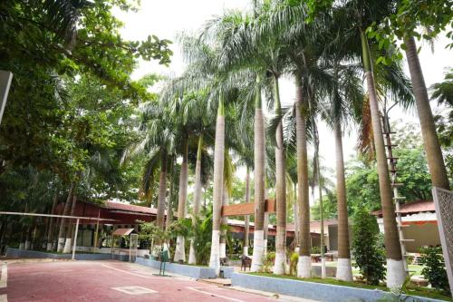 golden farms resorts