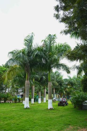 golden farms resorts