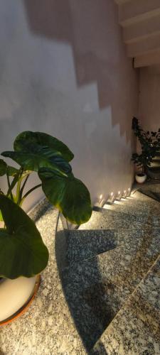 ganga bhavan home stay