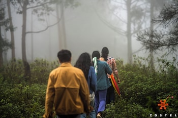 kodaikanal