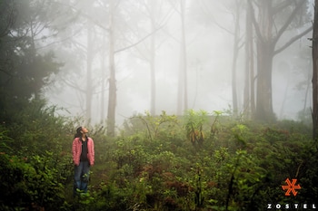 kodaikanal