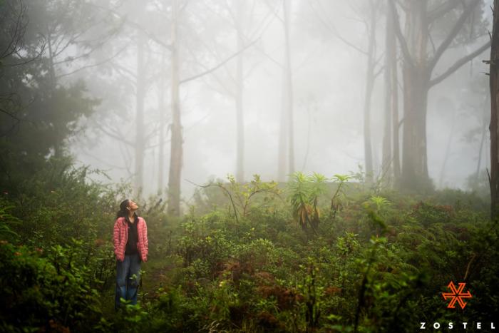 kodaikanal