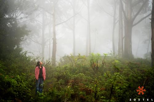 kodaikanal