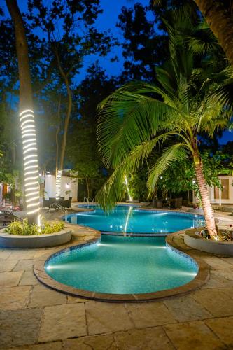 aeraki palms