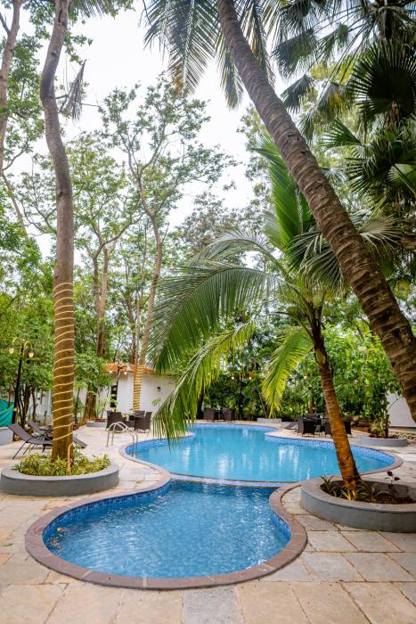 aeraki palms
