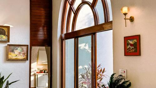 aeraki palms
