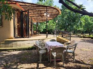 the alphonso mango county