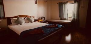 the alphonso mango county