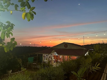 The Alphonso Mango County,,2 star