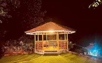 the alphonso mango county