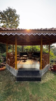 the alphonso mango county