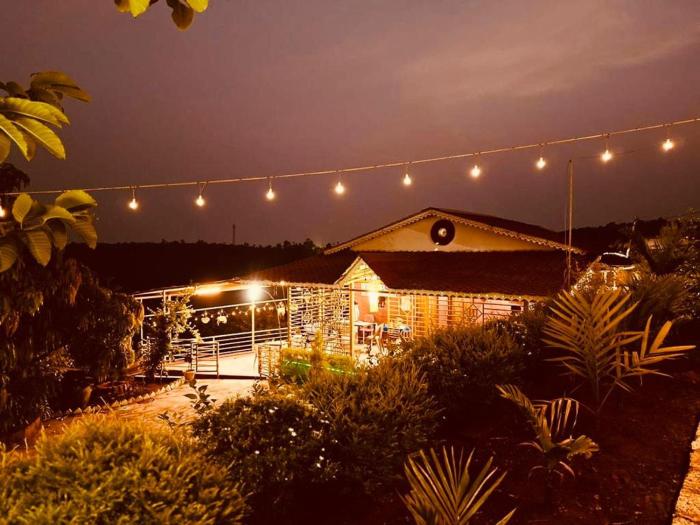 the alphonso mango county