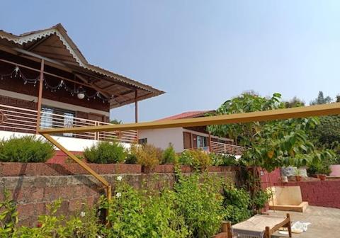 the alphonso mango county