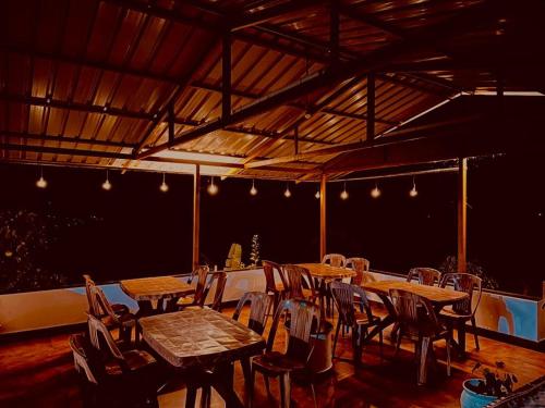 the alphonso mango county