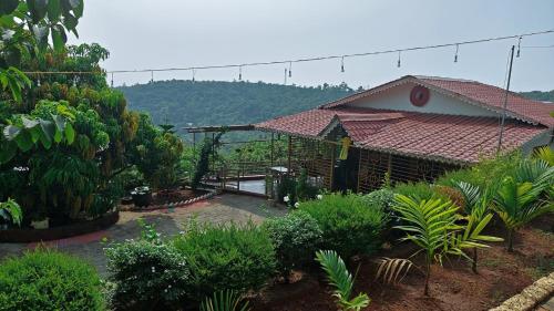 the alphonso mango county