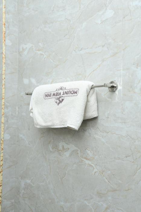 mount view inn krishnagiri