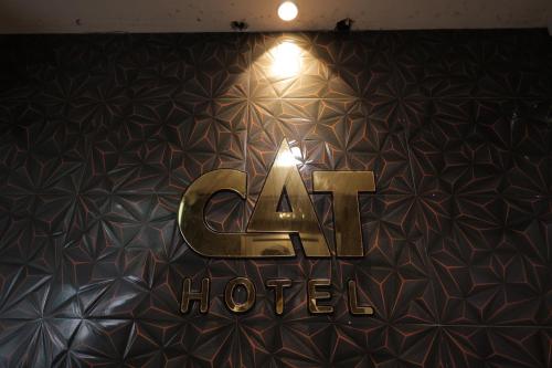 hotel cat