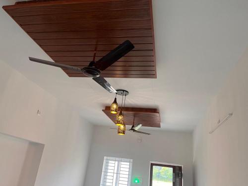 The Coconest,,2 star