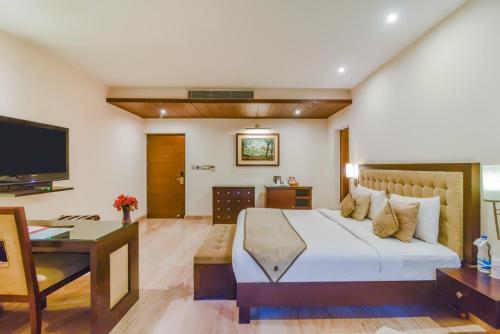 royal studio golf course road