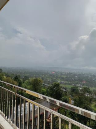 serene vista