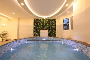 hotel mount view inn