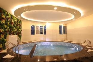 hotel mount view inn