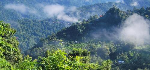 kalimpong