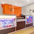 motel 6 payson az