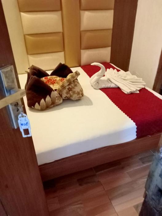 hotel rachna tourist lodge