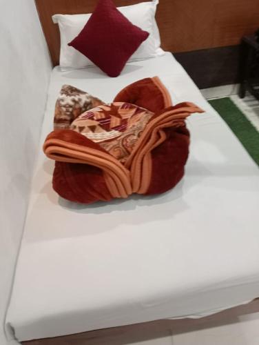 hotel rachna tourist lodge