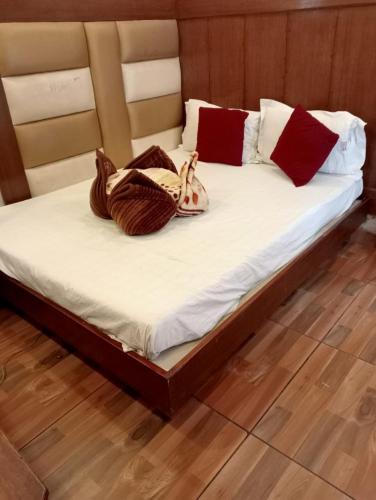 hotel rachna tourist lodge