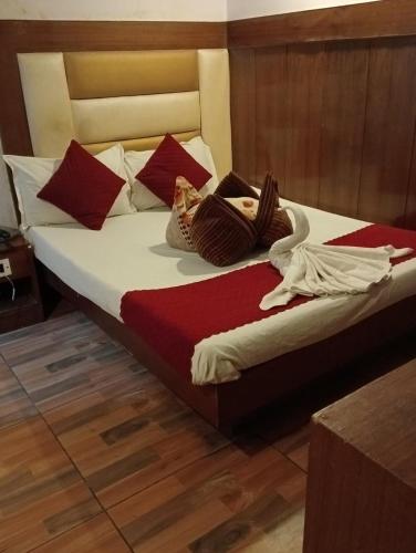 hotel rachna tourist lodge