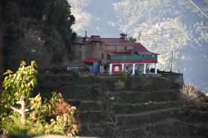 orchard oasis homestay