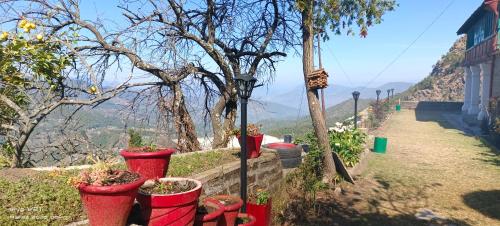 orchard oasis homestay