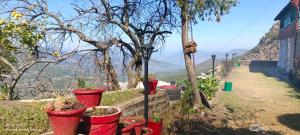 orchard oasis homestay