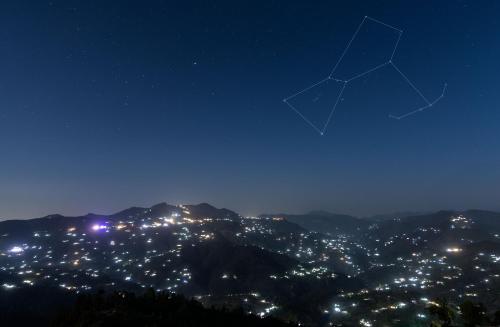 orchard oasis homestay