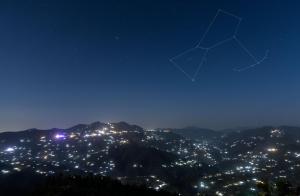 orchard oasis homestay