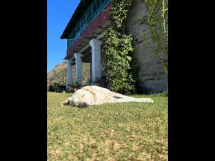 Orchard Oasis Homestay,,0 star