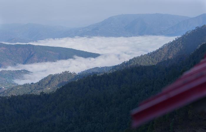 orchard oasis homestay