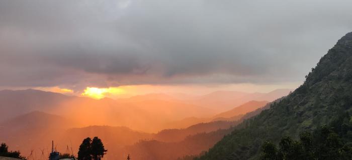 orchard oasis homestay